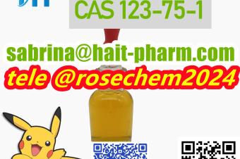 Hot selling in RUKAZ and other countries Pyrrolidine CAS 123751 8615355326496